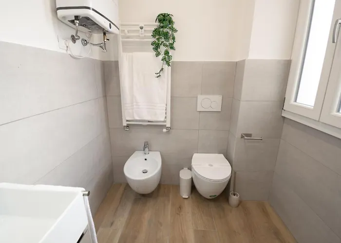 Metro A - Hedera & Bloom Rom